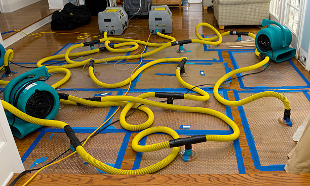 Professional Structural Drying And Dehumidification technician working in Silver Grove, KY
